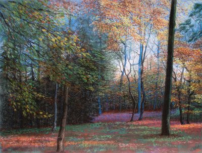 Autumn in the Woods by Margo Starkey